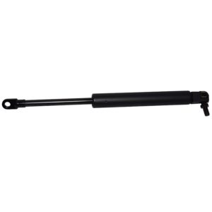 Gas Spring (PCS175)